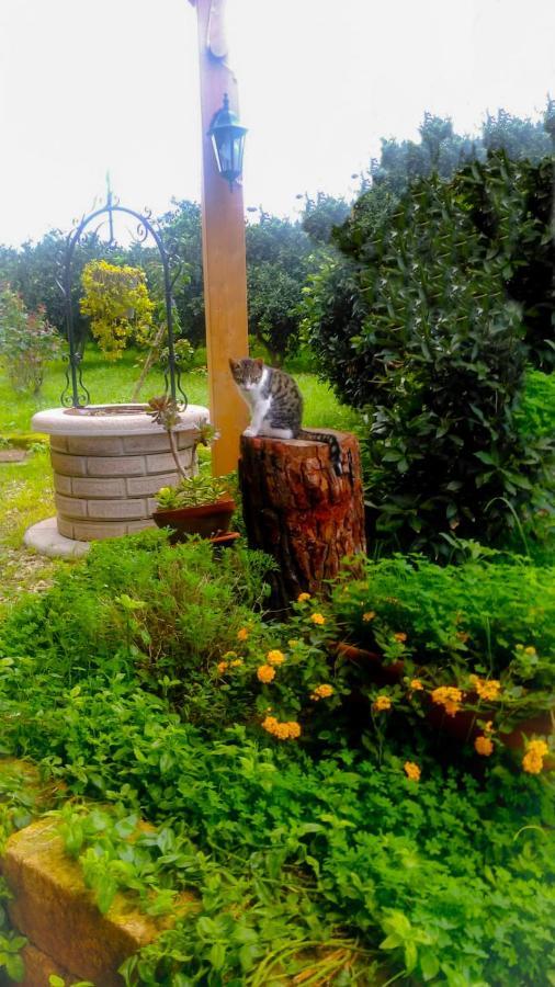 Il Giardino Del Sole Villa Agnone Bagni Exteriör bild