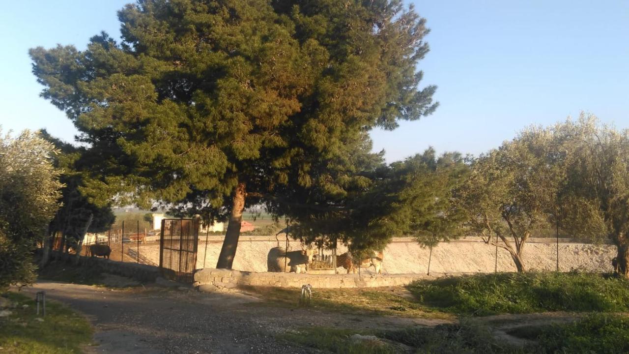 Il Giardino Del Sole Villa Agnone Bagni Exteriör bild