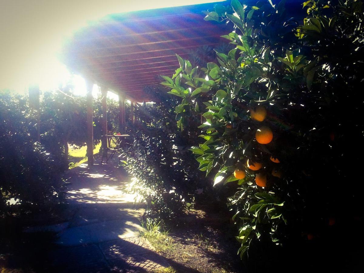 Il Giardino Del Sole Villa Agnone Bagni Exteriör bild