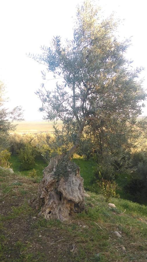 Il Giardino Del Sole Villa Agnone Bagni Exteriör bild