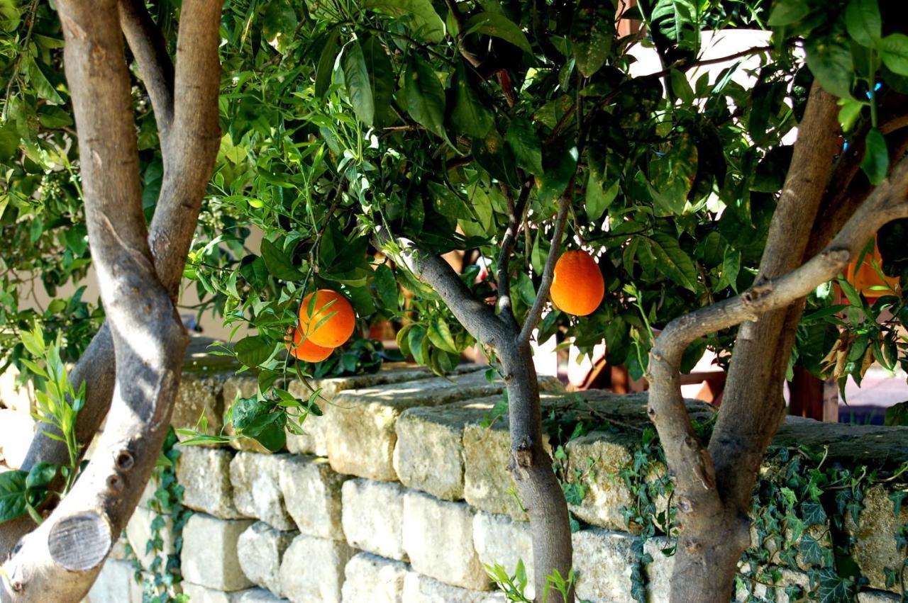 Il Giardino Del Sole Villa Agnone Bagni Exteriör bild